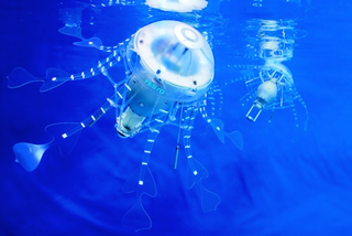 Illustration for article titled AquaJelly and AirJelly Robot Jellyfish At Home In the Water or the Sky